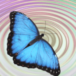 butterfly waves sq 660x660 1