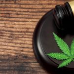 How Marijuana (Cannabis) Can Affect Child Custody in NJ